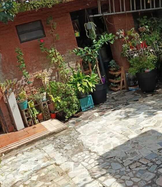 Buenos Aires 5521 patio