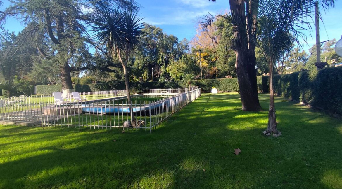 Tomas espora 1045 (02)