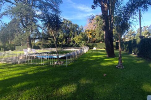 Tomas espora 1045 (02)