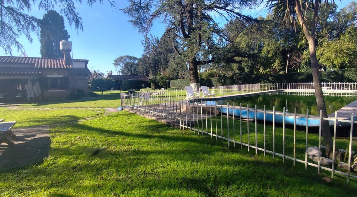 Tomas espora 1045 (03)