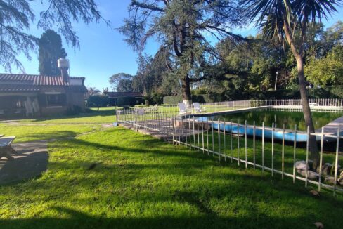 Tomas espora 1045 (03)