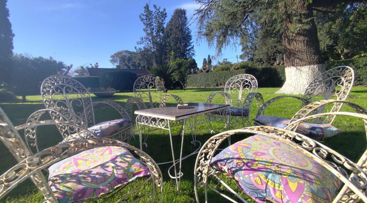 Tomas espora 1045 (06)