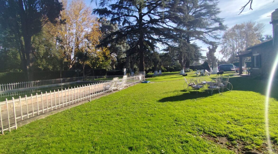 Tomas espora 1045 (08)