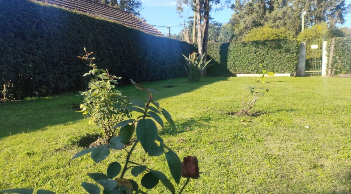 Tomas espora 1045 (09)