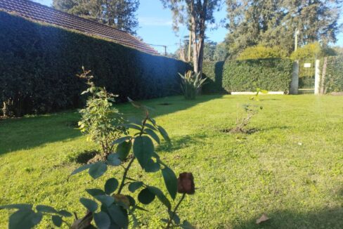 Tomas espora 1045 (09)