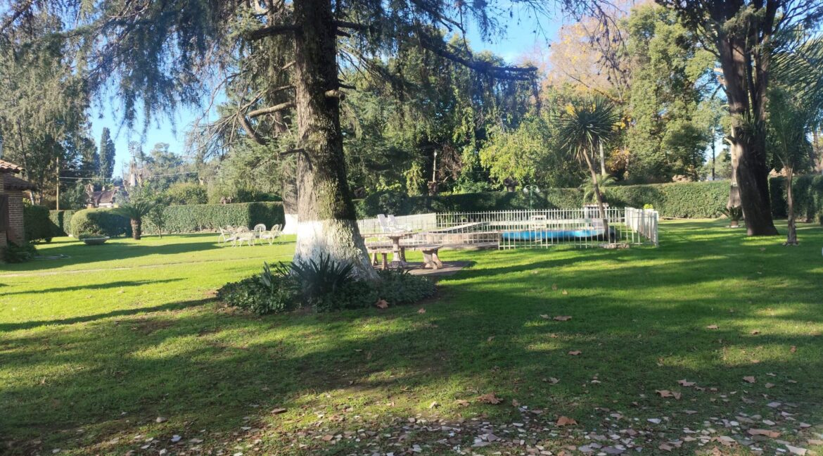 Tomas espora 1045 (2)