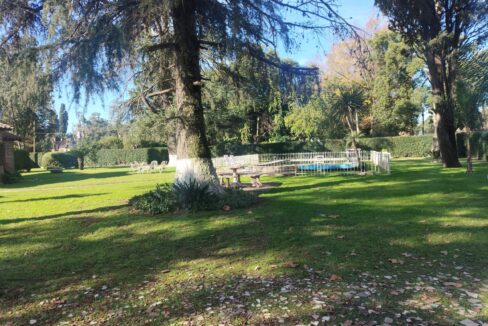 Tomas espora 1045 (2)