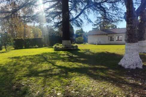 Tomas espora 1045 (4)