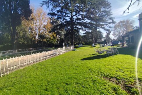 Tomas espora 1045 (44)