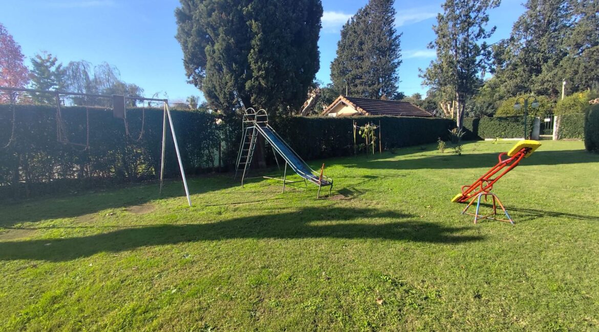 Tomas espora 1045 (47)