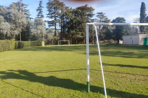 Tomas espora 1045 (50)