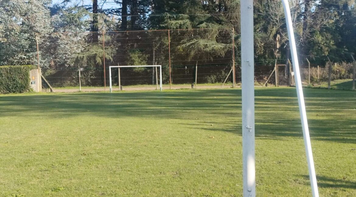 Tomas espora 1045 (51)