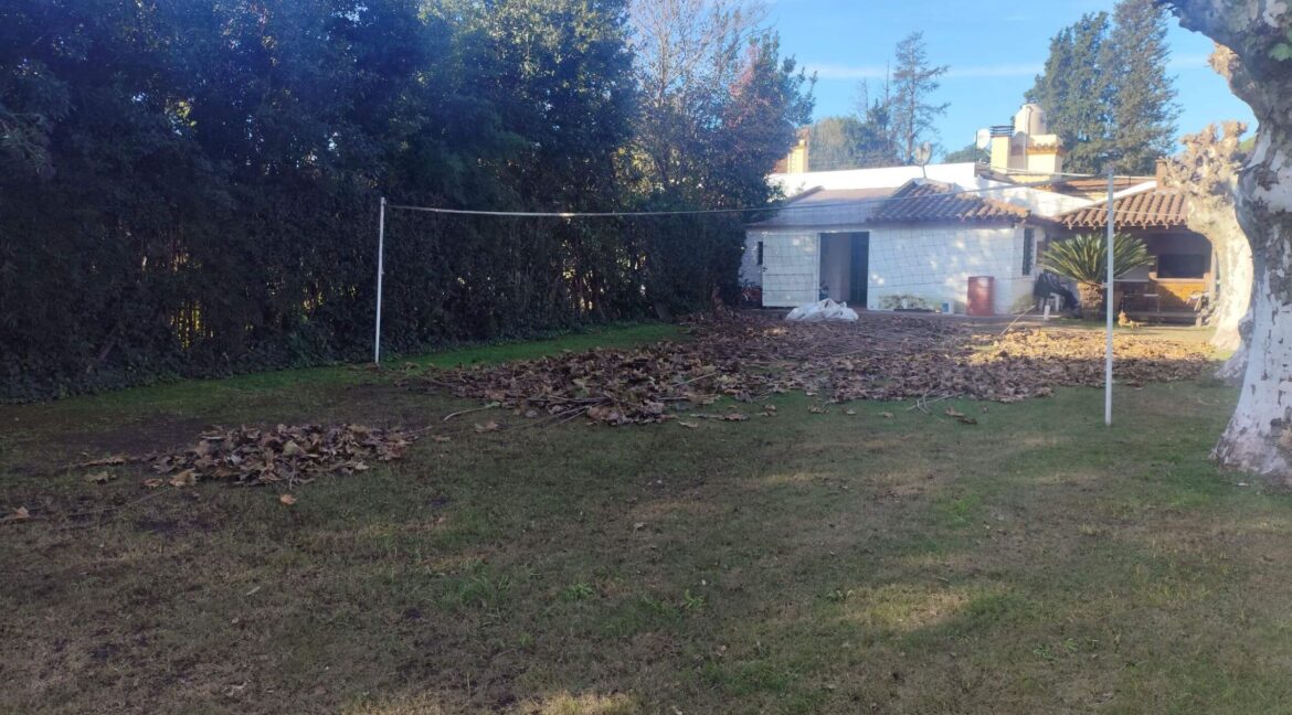 Tomas espora 1045 (52)