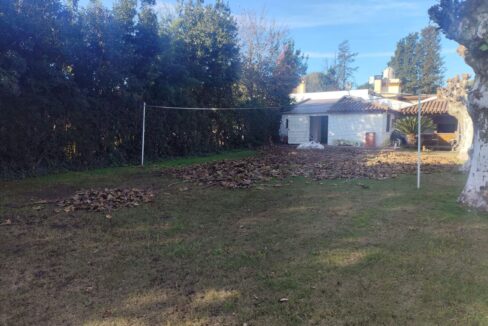 Tomas espora 1045 (52)