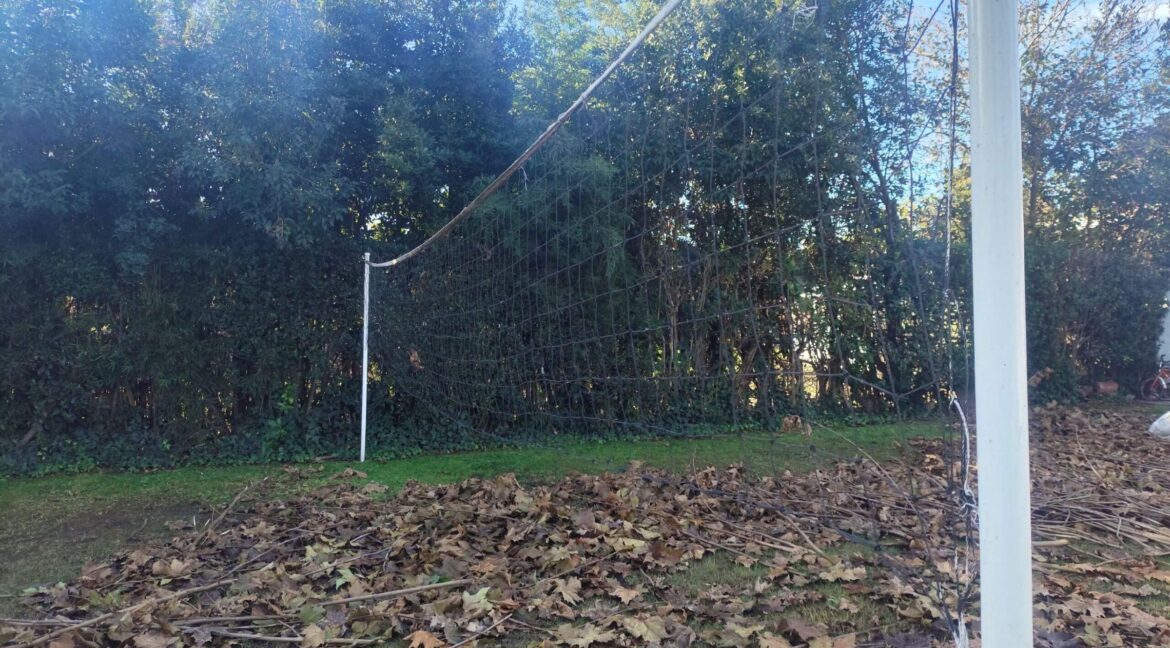 Tomas espora 1045 (53)