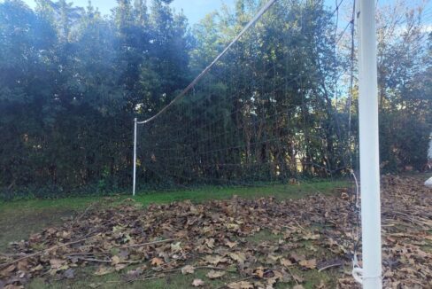 Tomas espora 1045 (53)