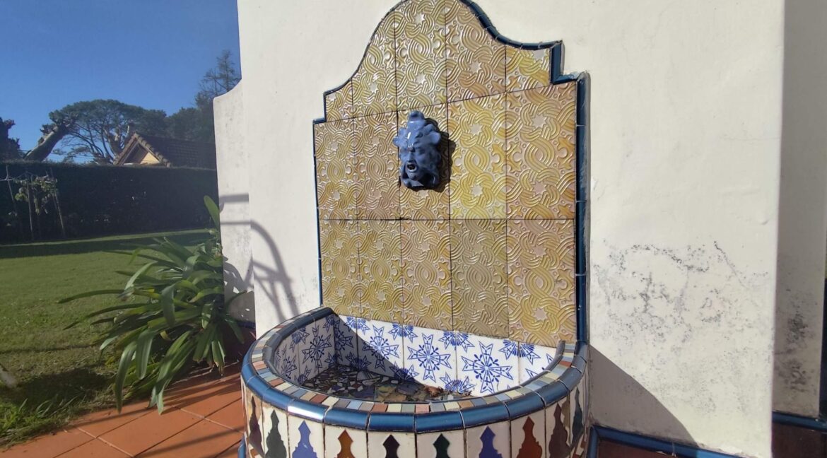 Tomas espora 1045 (58)