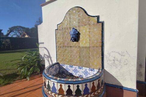 Tomas espora 1045 (58)