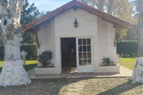 Tomas espora 1045 (59)