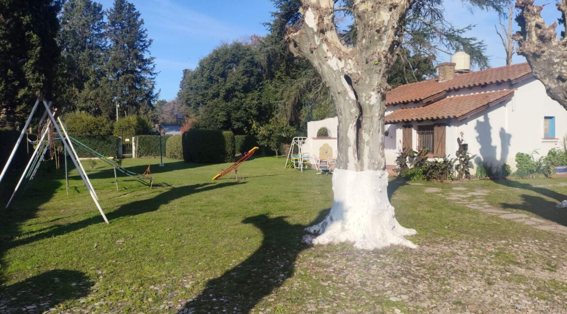 Tomas espora 1045 (66a)