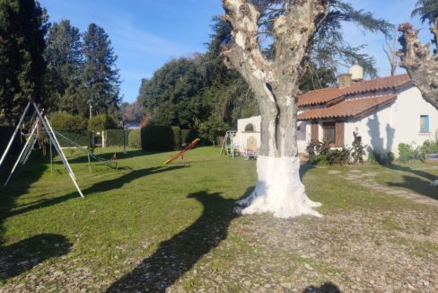 Tomas espora 1045 (66a)