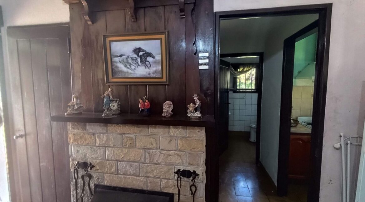 Tomas espora 1045 (67)