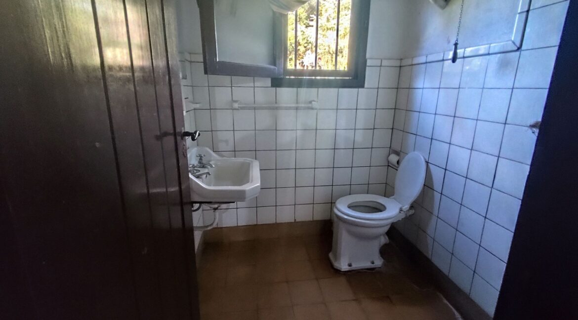 Tomas espora 1045 (71a)