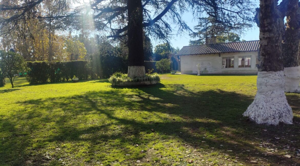 Tomas espora 1045 (72)