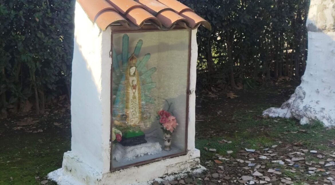 Tomas espora 1045 (76)