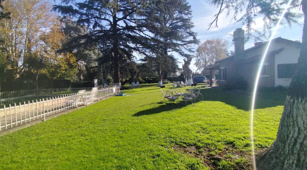 Tomas espora 1045 (82)