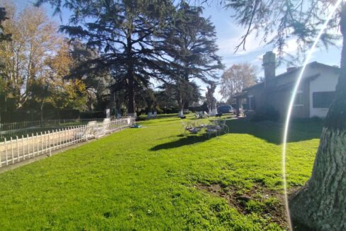 Tomas espora 1045 (82)