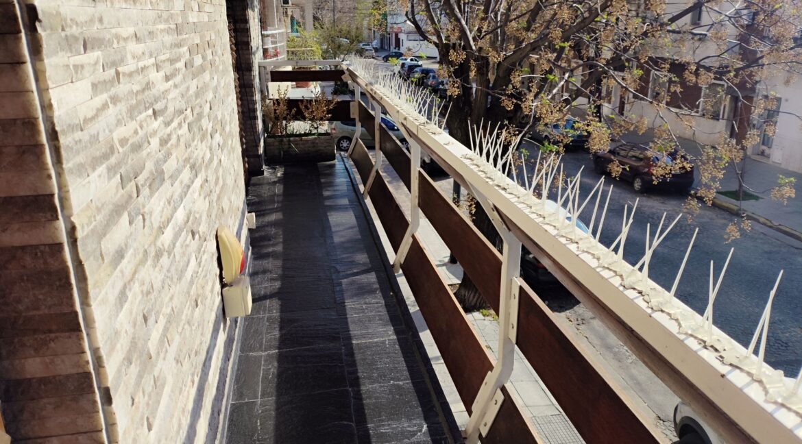 Gabriela Mistral_2238 (17)