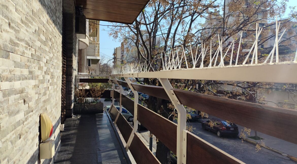 Gabriela Mistral_2238 (18)