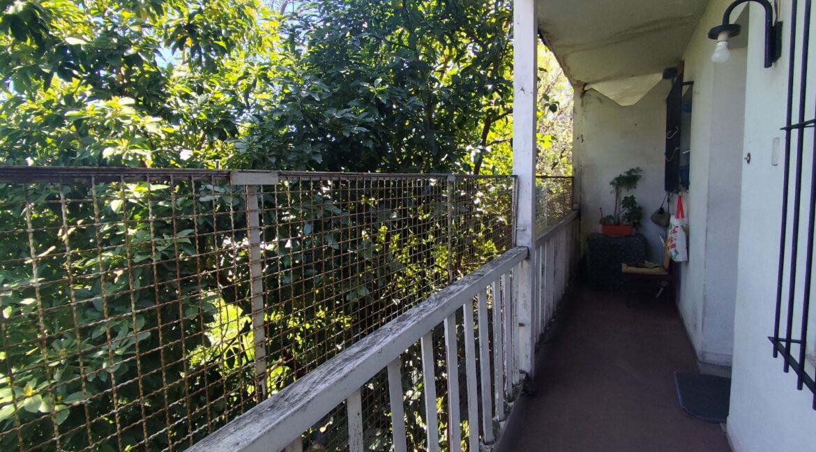 Monte 6850_2p_05a (2)